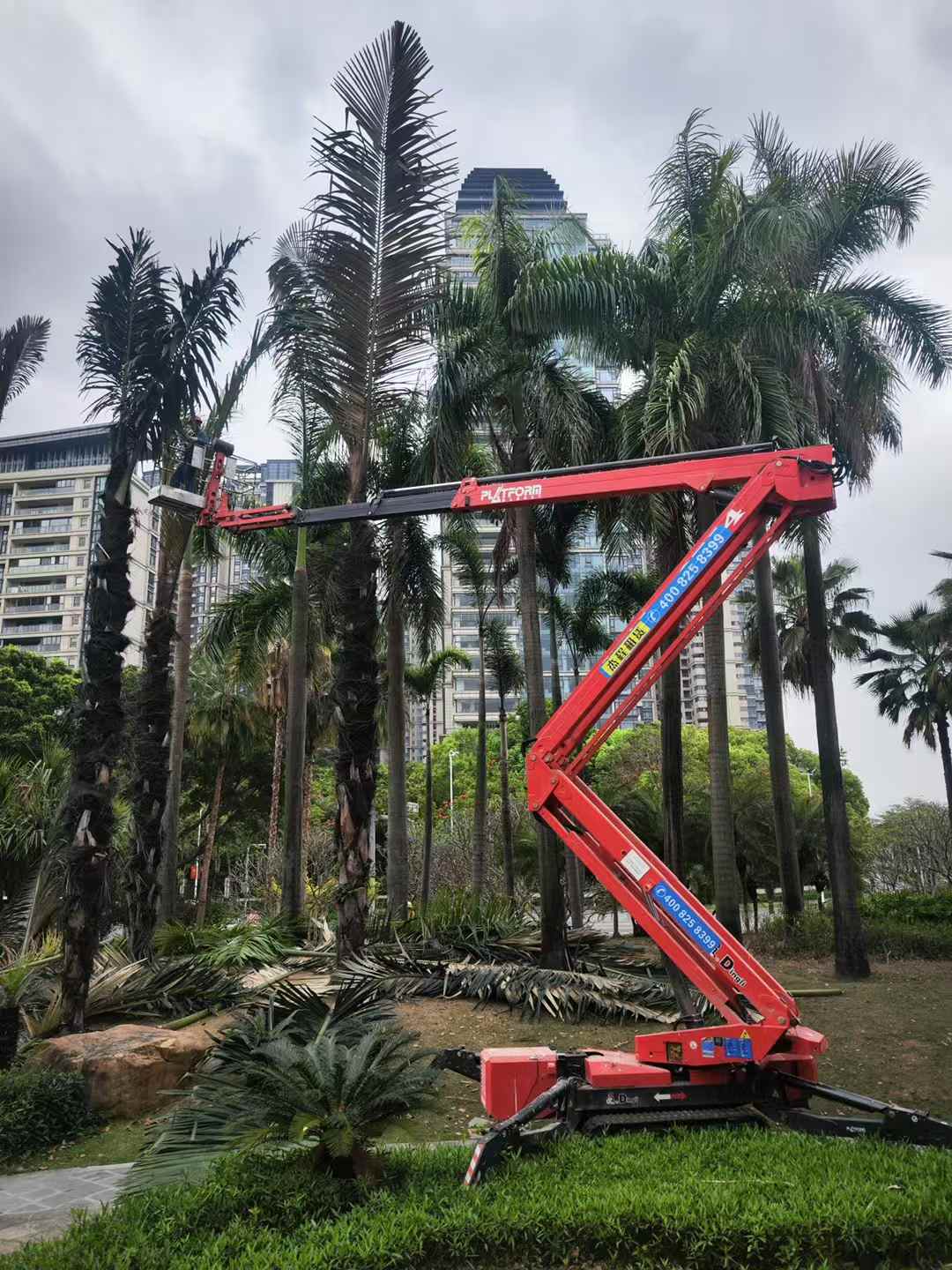 高空车出租应用案例